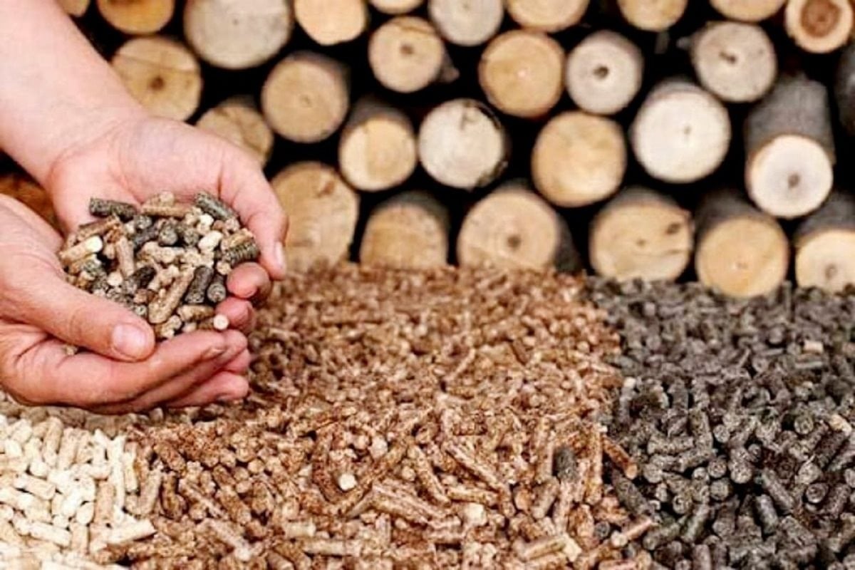Ngoài giá trị xuất khẩu, viên nén gỗ còn giúp tận dụng phế phụ phẩm trong quá trình sản xuất. Ảnh minh họa.