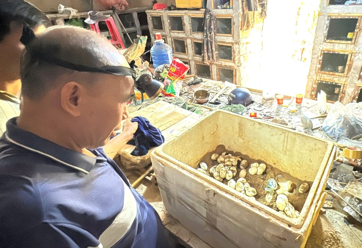 Riêng tiền bán trứng mỗi năm gia đình ông Vân thu về gần 100 triệu đồng. Ảnh: Tuấn Anh.