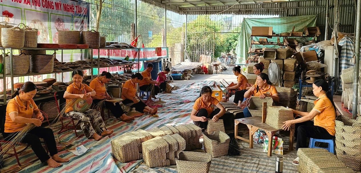 Nhiều thành viên xem Hợp tác xã như gia đình thứ 2 của họ. Ảnh: Quốc Toản. Nhiều thành viên xem Hợp tác xã như gia đình thứ 2 của họ. Ảnh: Quốc Toản.
