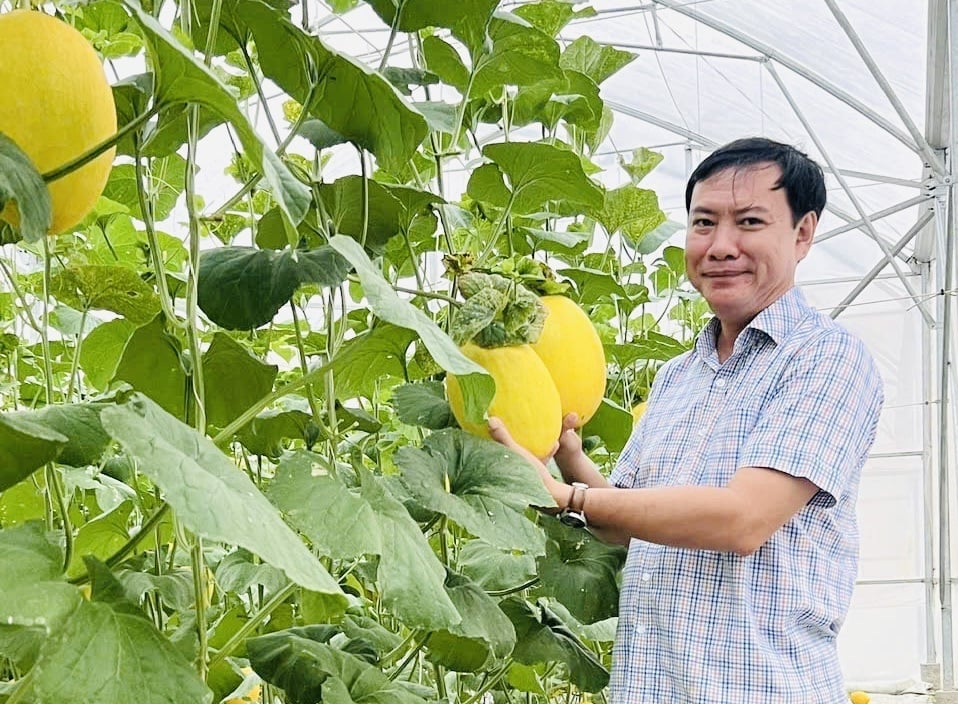 Ông  Lê Hà Luân, tân Giám đốc Sở Nông nghiệp và Môi trường tỉnh Đồng Tháp mới. Ảnh: Lê Hoàng Vũ.