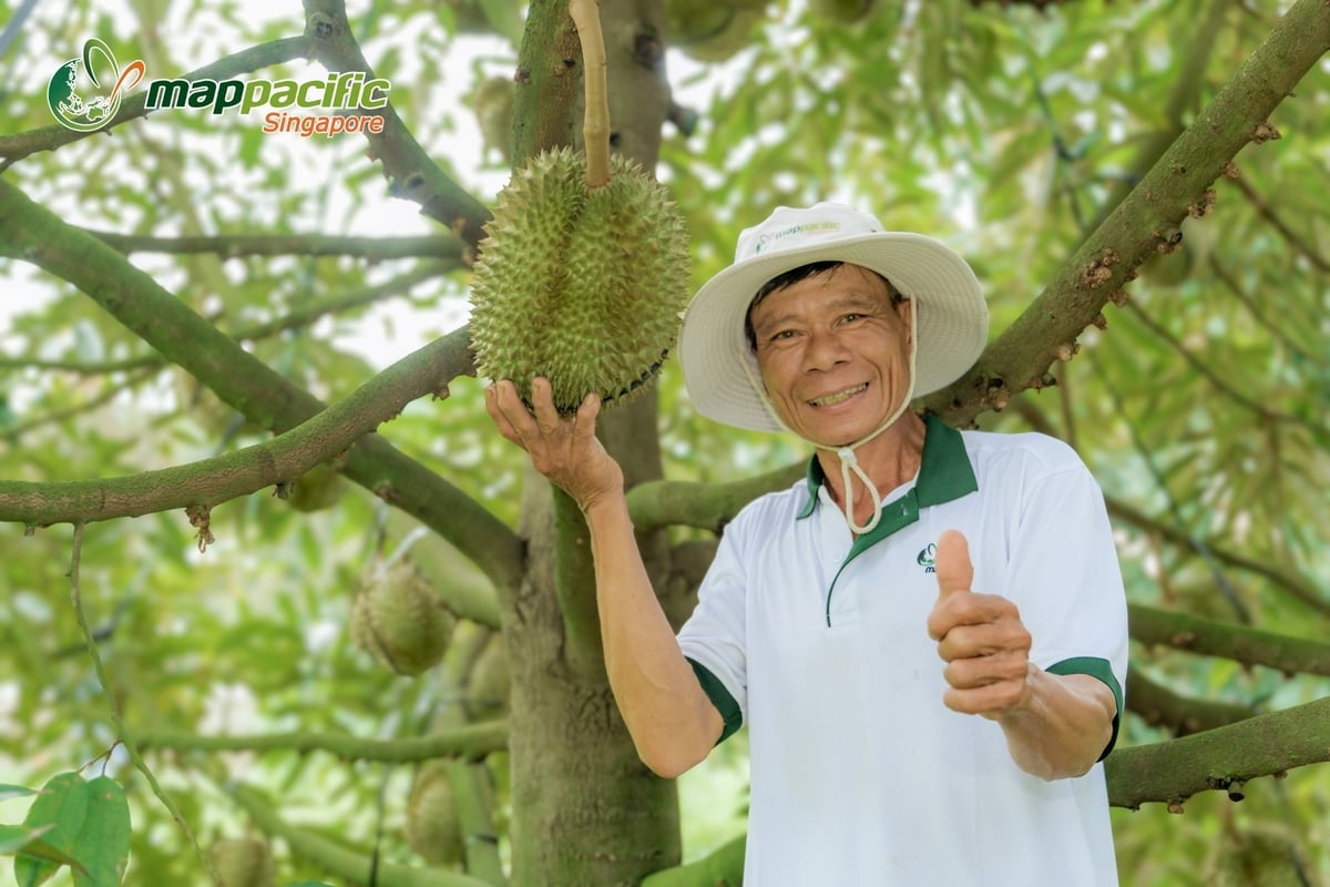 Nhiều năm qua Map Pacific Singapore cho ra hàng loạt sản phẩm chất lượng cao, công ty đã góp phần quan trọng vào việc gia tăng năng suất cây trồng, nâng cao thu nhập và cải thiện đời sống kinh tế cho hàng triệu nông dân Việt Nam. Ảnh: Lê Hoàng Vũ.