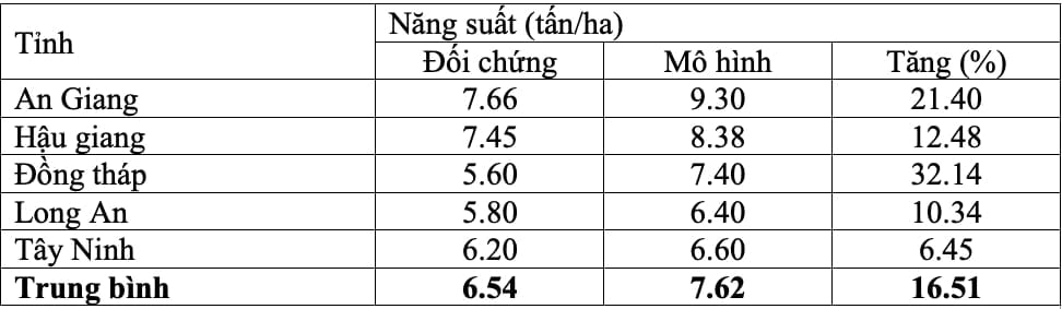 pH dung dịch đất lúa đầu vụ tăng lên, rơm rạ được phân hủy tốt hơn và axit hữu cơ giảm hơn có ý nghĩa so với đối chứng. Ảnh: Bảo Vệ. pH dung dịch đất lúa đầu vụ tăng lên, rơm rạ được phân hủy tốt hơn và axit hữu cơ giảm hơn có ý nghĩa so với đối chứng. Ảnh: Bảo Vệ.