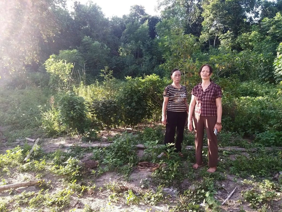 Khu đất ông Trần Duy Đồng và bà Nguyễn Thị Hồng xin chuyển 300m2 đất vườn sang đất ở. Ảnh: K. Hoan.