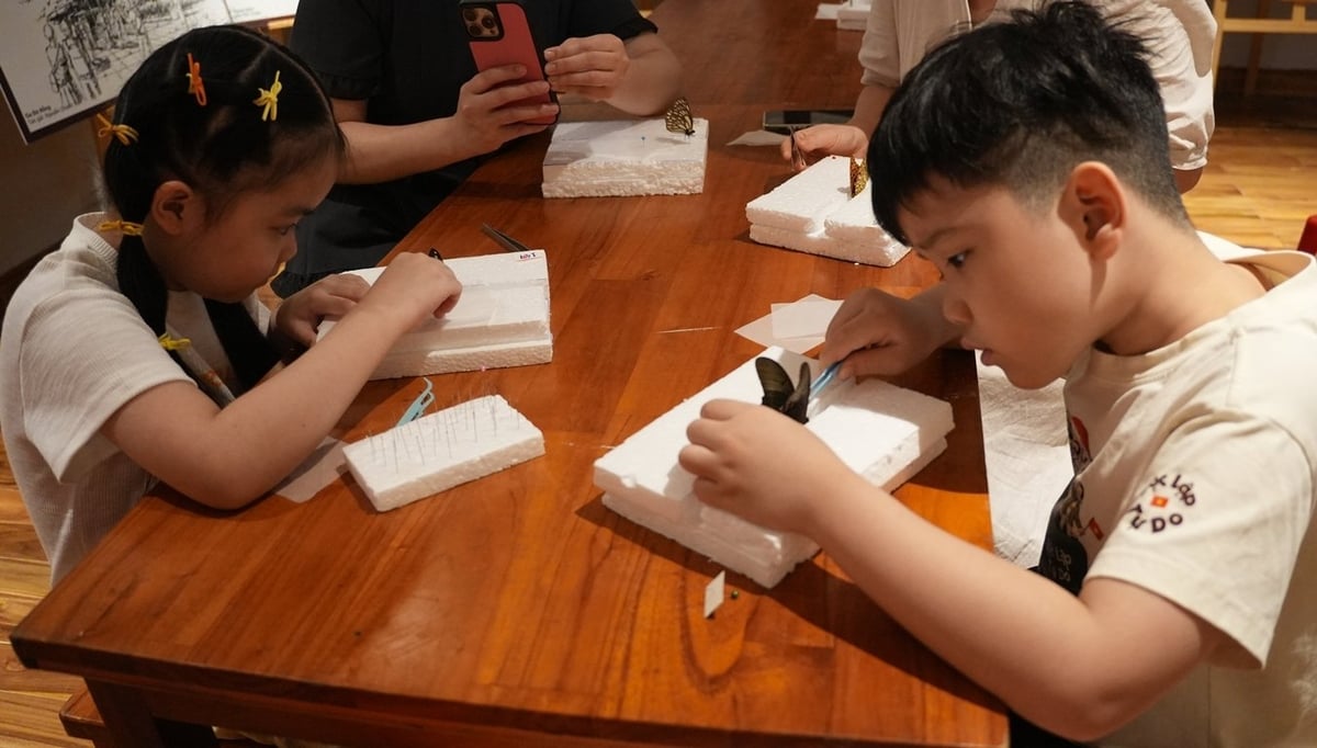 'Trải nghiệm làm tiêu bản côn trùng' được các em nhỏ rất thích thú. Ảnh: Bảo tàng Đà Nẵng.