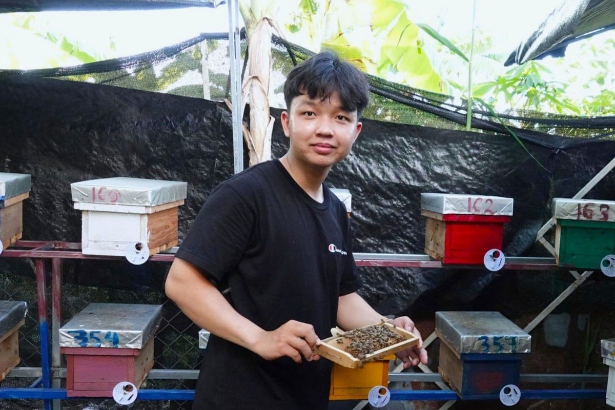 Mô hình nuôi ong chúa giống giúp thanh niên Đỗ Công Tạo có thu nhập ổn định để trang trải chi phí học tập hàng tháng. Ảnh: Kim Anh.