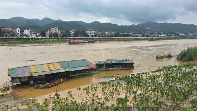 Lũ sông Thao tại Lào Cai dâng cao làm ngập sâu khu vực bãi bồi ven sông. Ảnh: Hương Thu/TTXVN