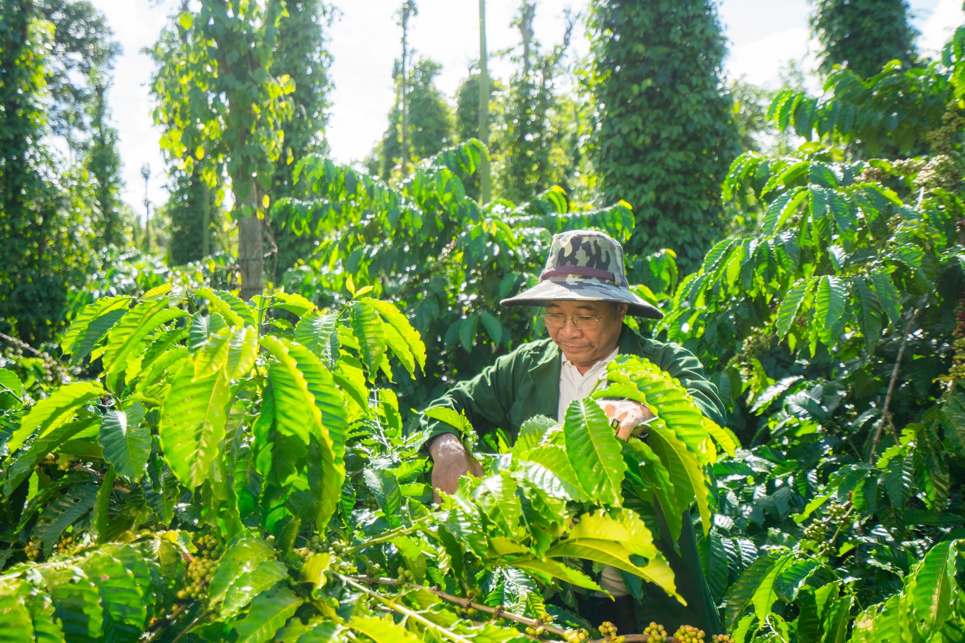 Ông Dương Thanh Sâm, một nông dân tại thôn 10, xã Ea Tiêu, Đắk Lắk, đã tham gia chương trình NESCAFÉ Plan từ năm 2012 và 'đổi đời' nhờ chuyển đổi sang canh tác cà phê theo phương pháp nông nghiệp tái sinh. Ông Dương Thanh Sâm, một nông dân tại thôn 10, xã Ea Tiêu, Đắk Lắk, đã tham gia chương trình NESCAFÉ Plan từ năm 2012 và 'đổi đời' nhờ chuyển đổi sang canh tác cà phê theo phương pháp nông nghiệp tái sinh.