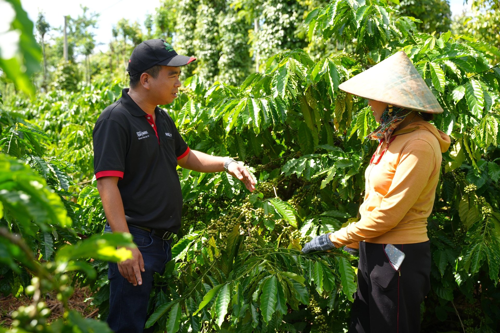 Nhờ tham gia chương trình, nhiều hộ nông dân đã được làm quen với phương pháp canh tác bền vững, nâng cao năng suất và tối ưu hóa chi phí, từ đó thu nhập gia tăng và chất lượng cuộc sống được cải thiện. Nhờ tham gia chương trình, nhiều hộ nông dân đã được làm quen với phương pháp canh tác bền vững, nâng cao năng suất và tối ưu hóa chi phí, từ đó thu nhập gia tăng và chất lượng cuộc sống được cải thiện.