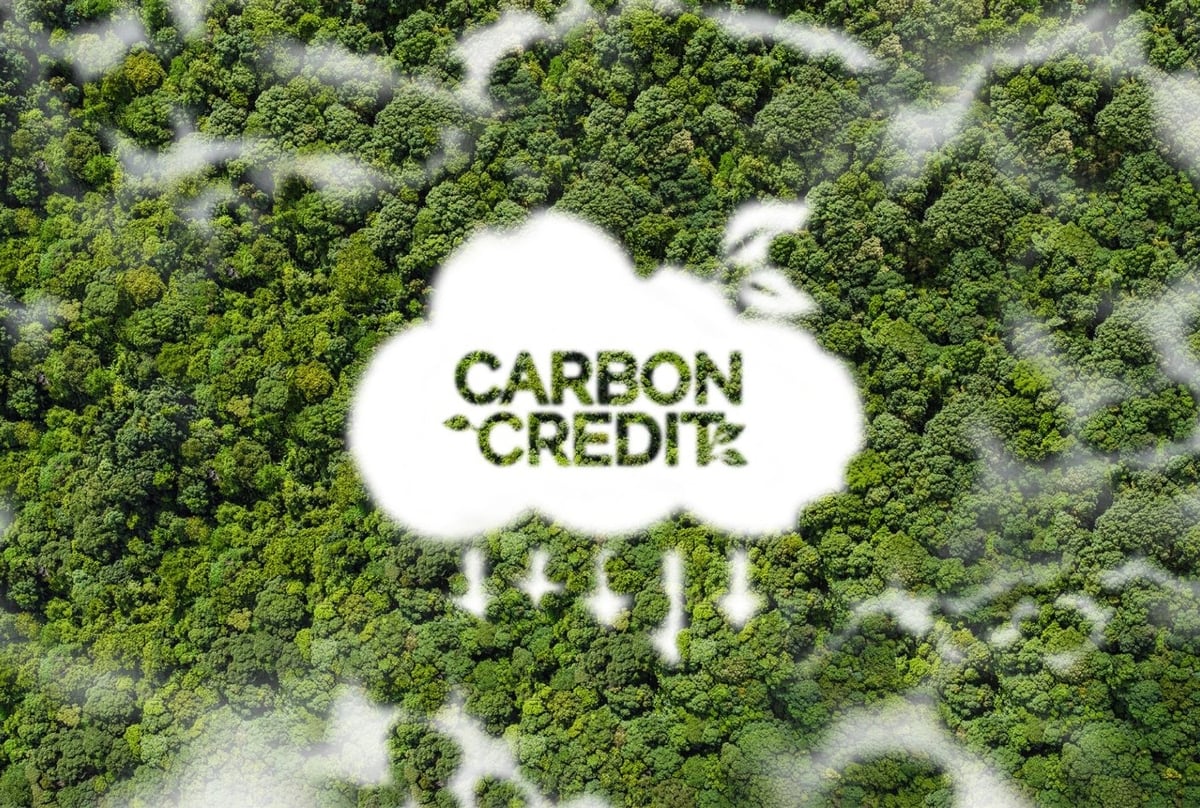 EC chính thức đề xuất đưa tín chỉ carbon quốc tế vào thực hiện mục tiêu khí hậu đến năm 2040. Ảnh: Civil and Environmental Engineering. 