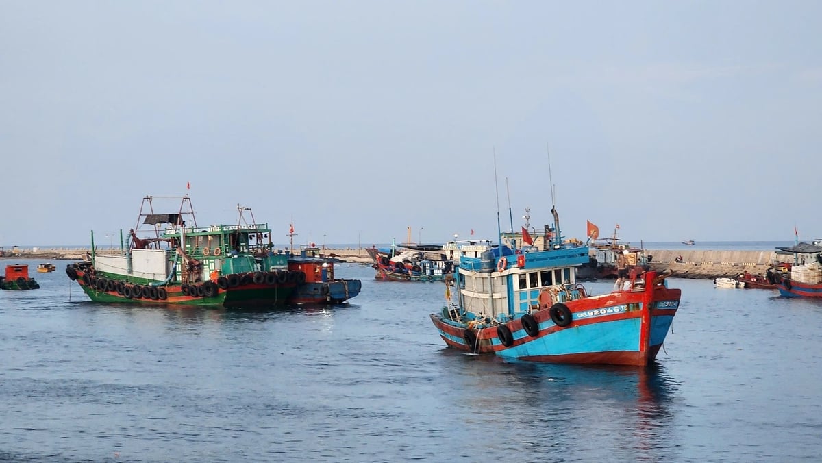 Tàu cá trên Bạch Long Vĩ. Ảnh: Đức Hải. 