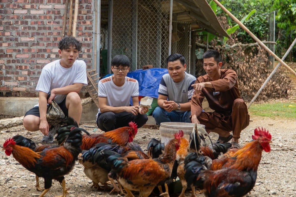 Người Nhật (ngoài cùng bên trái) thăm gà 9 cựa. Ảnh: Nhân vật cung cấp. Người Nhật (ngoài cùng bên trái) thăm gà 9 cựa. Ảnh: Nhân vật cung cấp.