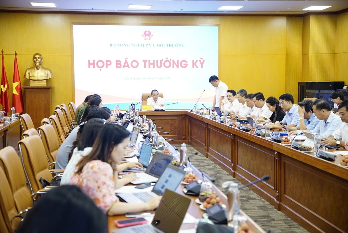 Quang cảnh buổi họp báo thường kỳ tháng 6 của Bộ Nông nghiệp và Môi trường. Ảnh: Linh Linh.