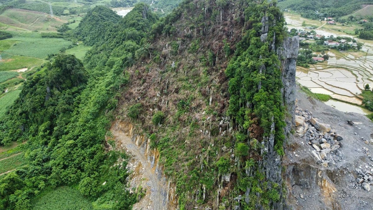 Công ty Anh Phát bị xử phạt 40 triệu đồng vì hành vi phá rừng. Ảnh: Thanh Tâm Công ty Anh Phát bị xử phạt 40 triệu đồng vì hành vi phá rừng. Ảnh: Thanh Tâm