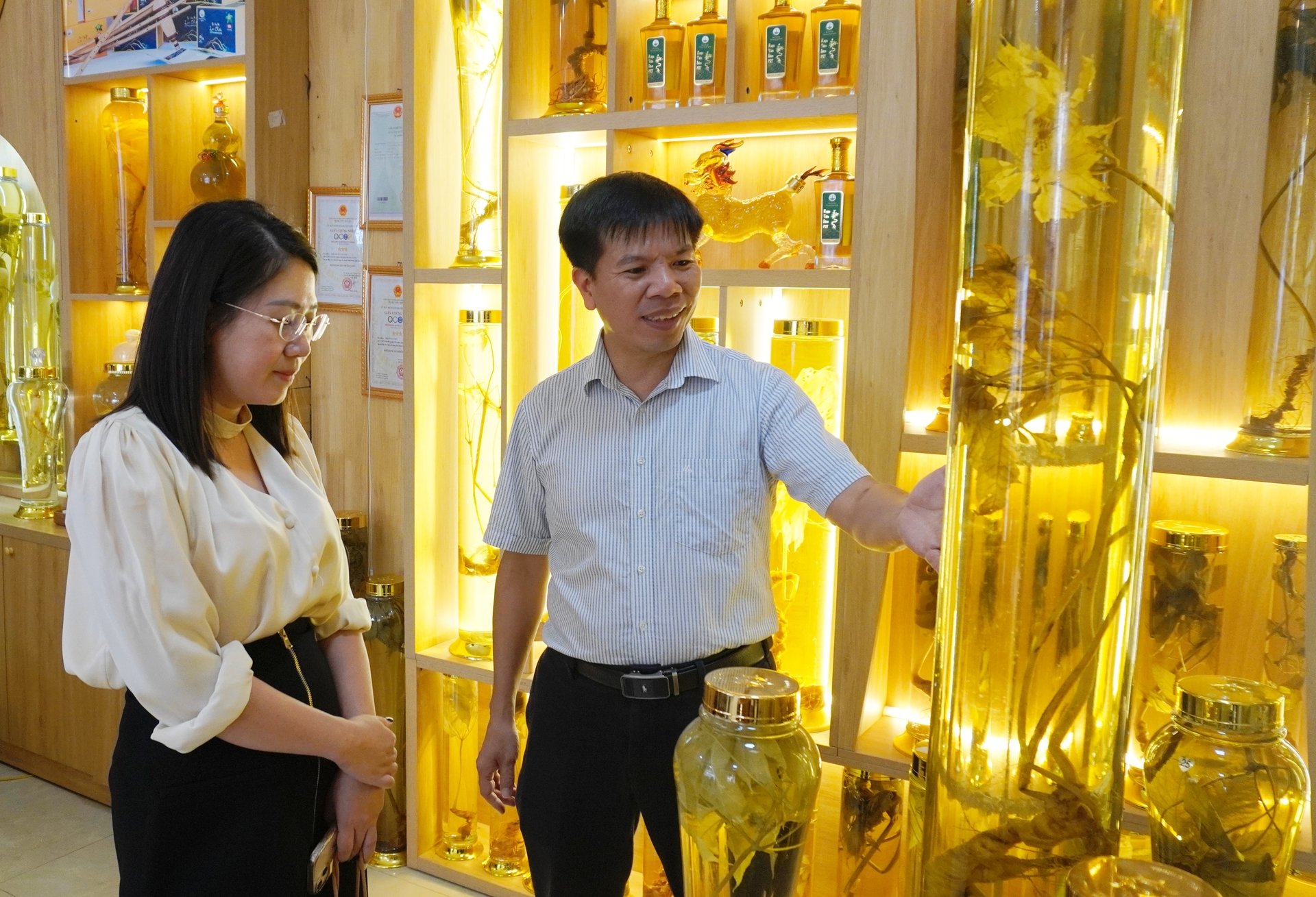 TS. Phạm Quang Tuyến (ảnh phải) giới thiệu các sản phẩm từ sâm Lai Châu tại Phòng trưng bày sản phẩm sâm và lâm sản ngoài gỗ của Viện Khoa học Lâm nghiệp Việt Nam. Ảnh: Duy Học. TS. Phạm Quang Tuyến (ảnh phải) giới thiệu các sản phẩm từ sâm Lai Châu tại Phòng trưng bày sản phẩm sâm và lâm sản ngoài gỗ của Viện Khoa học Lâm nghiệp Việt Nam. Ảnh: Duy Học.