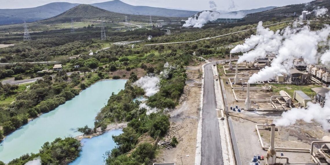 Với vai trò là một trong những 'bể hấp thụ carbon' lớn của thế giới, châu Phi đang thu hút đầu tư toàn cầu. Ảnh: Kenyawallstreet. Với vai trò là một trong những 'bể hấp thụ carbon' lớn của thế giới, châu Phi đang thu hút đầu tư toàn cầu. Ảnh: Kenyawallstreet.