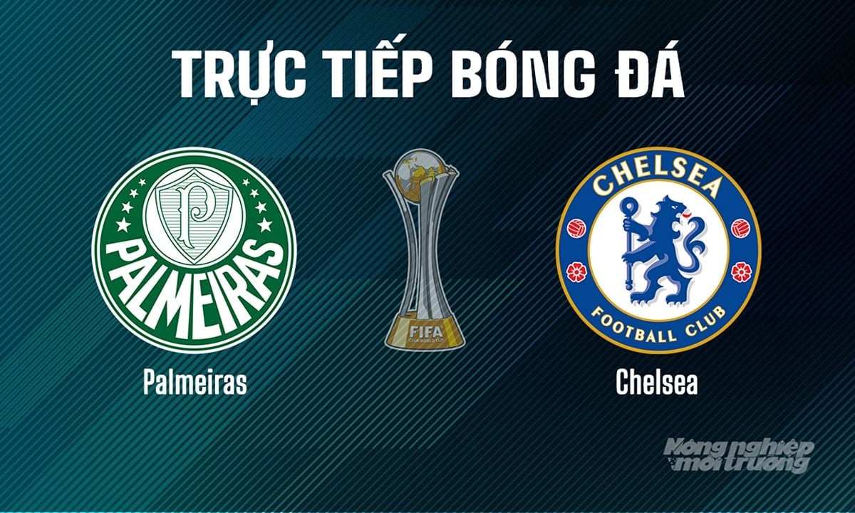 Trực tiếp bóng đá giải FIFA Club World Cup 2025 giữa Palmeiras vs Chelsea hôm nay 5/7/2025 Trực tiếp bóng đá giải FIFA Club World Cup 2025 giữa Palmeiras vs Chelsea hôm nay 5/7/2025