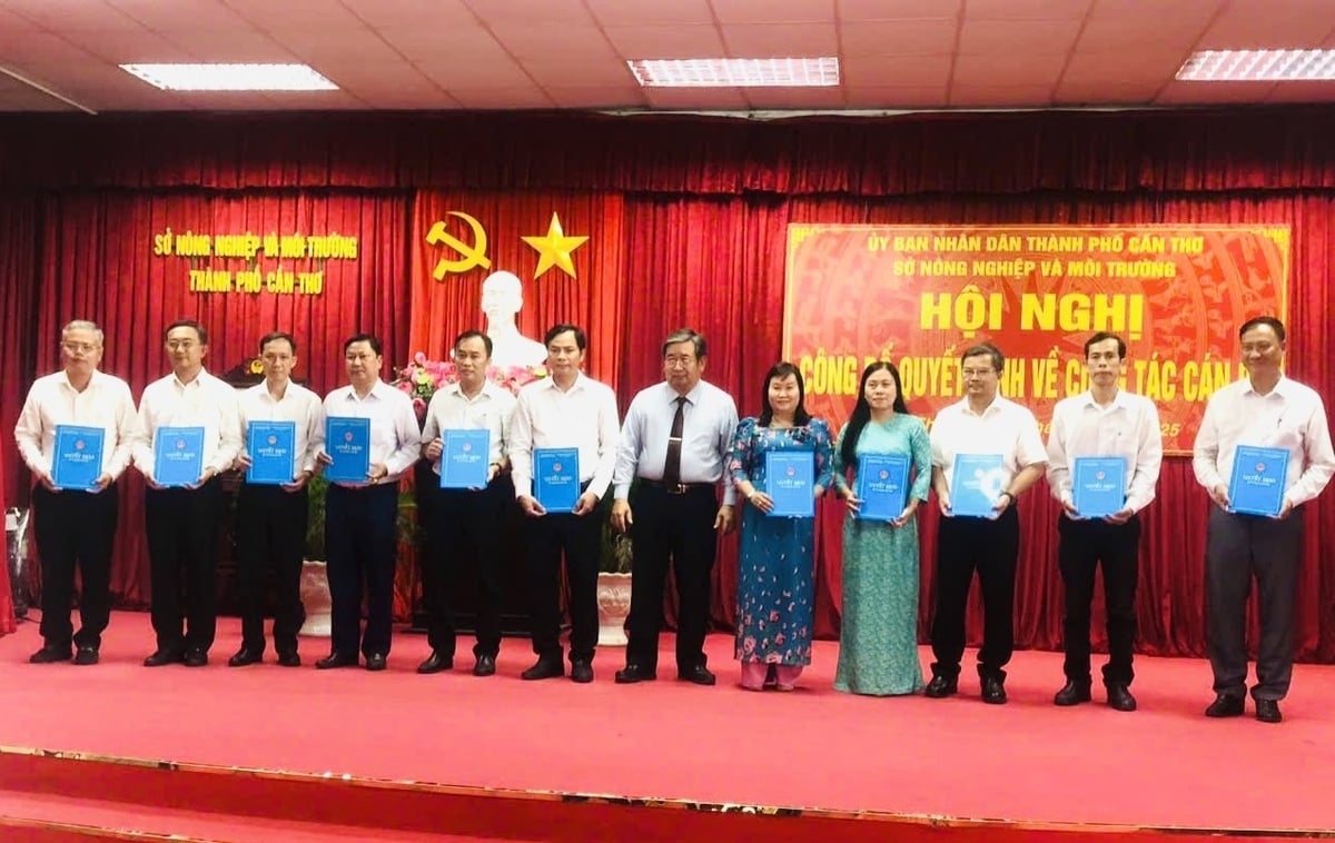 Giám đốc Sở Nông nghiệp và Môi trường TP Cần Thơ Ngô Thái Chân trao quyết định bổ nhiệm lãnh đạo các đơn vị trực thuộc. Ảnh: Lê Hoàng Vũ. Giám đốc Sở Nông nghiệp và Môi trường TP Cần Thơ Ngô Thái Chân trao quyết định bổ nhiệm lãnh đạo các đơn vị trực thuộc. Ảnh: Lê Hoàng Vũ.