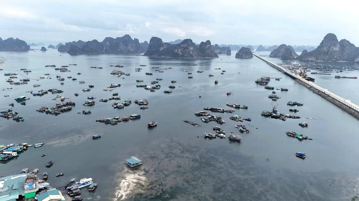 Ngành thủy sản Quảng Ninh đang nghiên cứu triển khai các giải pháp kỹ thuật nhằm tích hợp đăng ký tàu cá trên ứng dụng VNeID. Ảnh: Cường Vũ. Ngành thủy sản Quảng Ninh đang nghiên cứu triển khai các giải pháp kỹ thuật nhằm tích hợp đăng ký tàu cá trên ứng dụng VNeID. Ảnh: Cường Vũ.