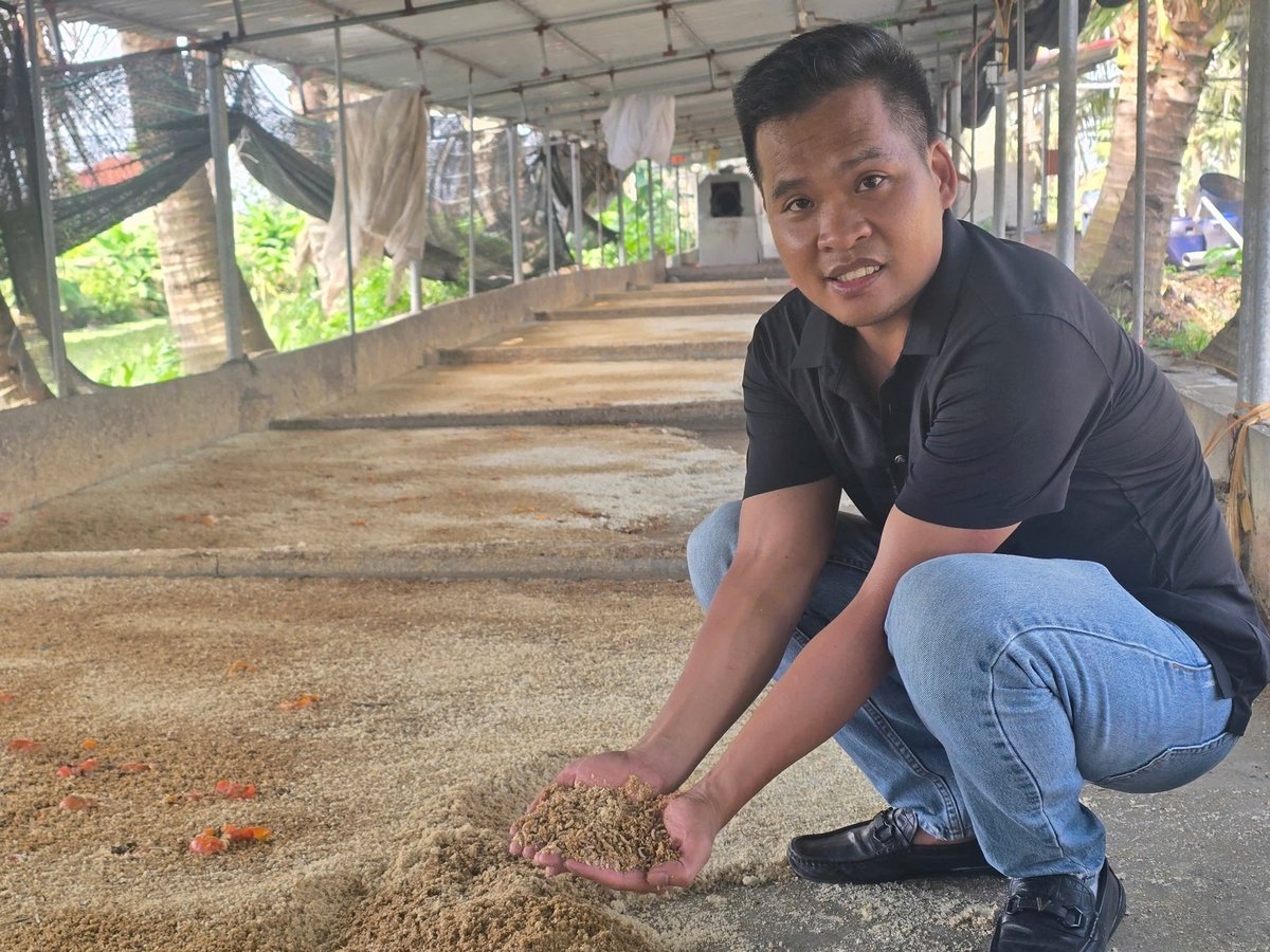 Nguồn thức ăn cho cá Koi được anh Quân chủ động từ việc nuôi ấu trùng ruồi lính đen. Ảnh: Đinh Mười. Nguồn thức ăn cho cá Koi được anh Quân chủ động từ việc nuôi ấu trùng ruồi lính đen. Ảnh: Đinh Mười.