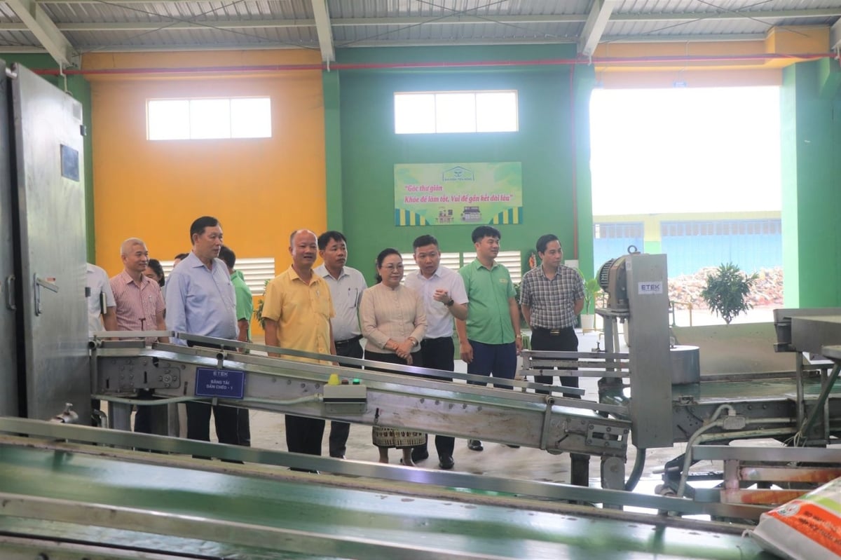 Đoàn công tác thăm nhà máy sản xuất của Công ty Tiến Nông. Ảnh: Huyền Linh. Đoàn công tác thăm nhà máy sản xuất của Công ty Tiến Nông. Ảnh: Huyền Linh.