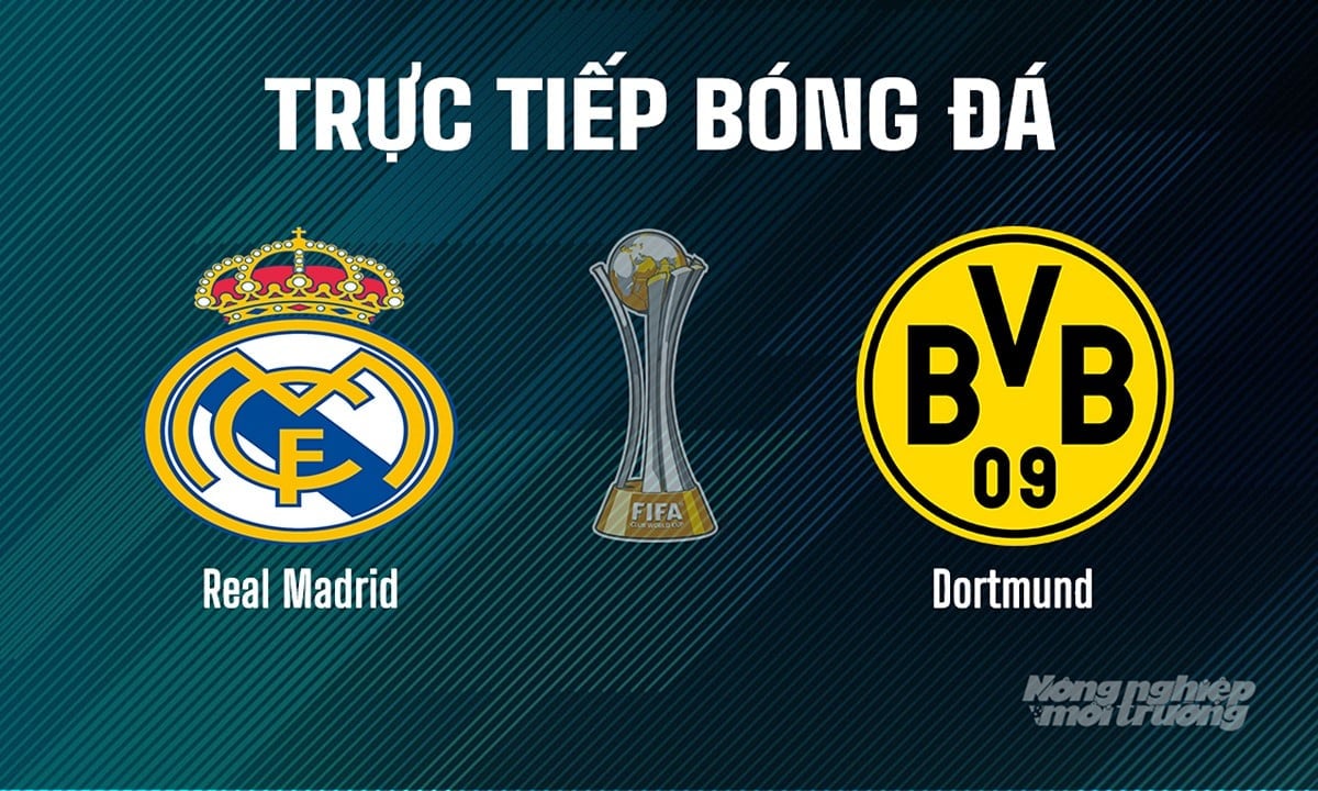 Trực tiếp bóng đá giải FIFA Club World Cup 2025 giữa Real Madrid vs Dortmund ngày 6/7/2025 Trực tiếp bóng đá giải FIFA Club World Cup 2025 giữa Real Madrid vs Dortmund ngày 6/7/2025