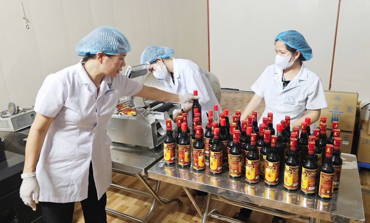 Vegetarian fish sauce production workshop at Tuan Linh Cooperative. Photo: T. Phung.