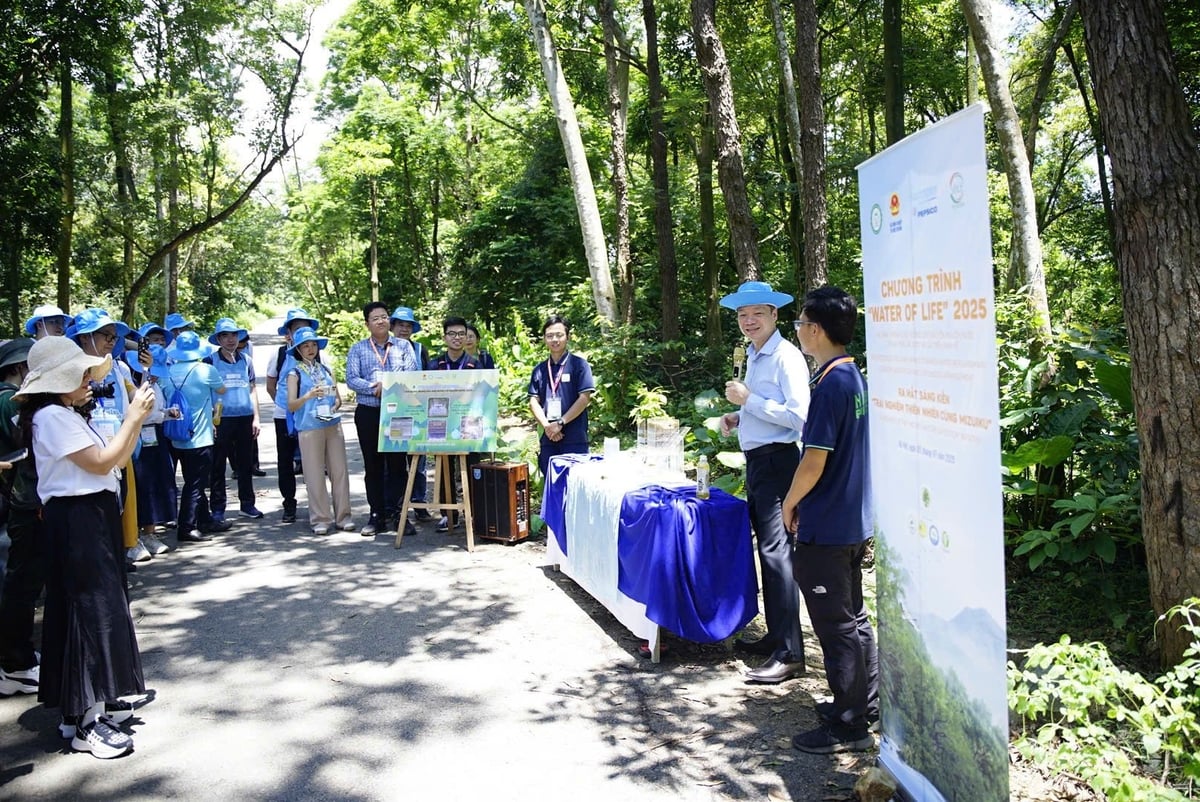 Ông Trần Quang Bảo, Cục trưởng Cục Lâm nghiệp và Kiểm lâm chia sẻ về hoạt động hợp tác giữa Cục và doanh nghiệp hướng tới mục tiêu phát triển rừng, bảo vệ nguồn nước. Ảnh: Linh Linh. Ông Trần Quang Bảo, Cục trưởng Cục Lâm nghiệp và Kiểm lâm chia sẻ về hoạt động hợp tác giữa Cục và doanh nghiệp hướng tới mục tiêu phát triển rừng, bảo vệ nguồn nước. Ảnh: Linh Linh.