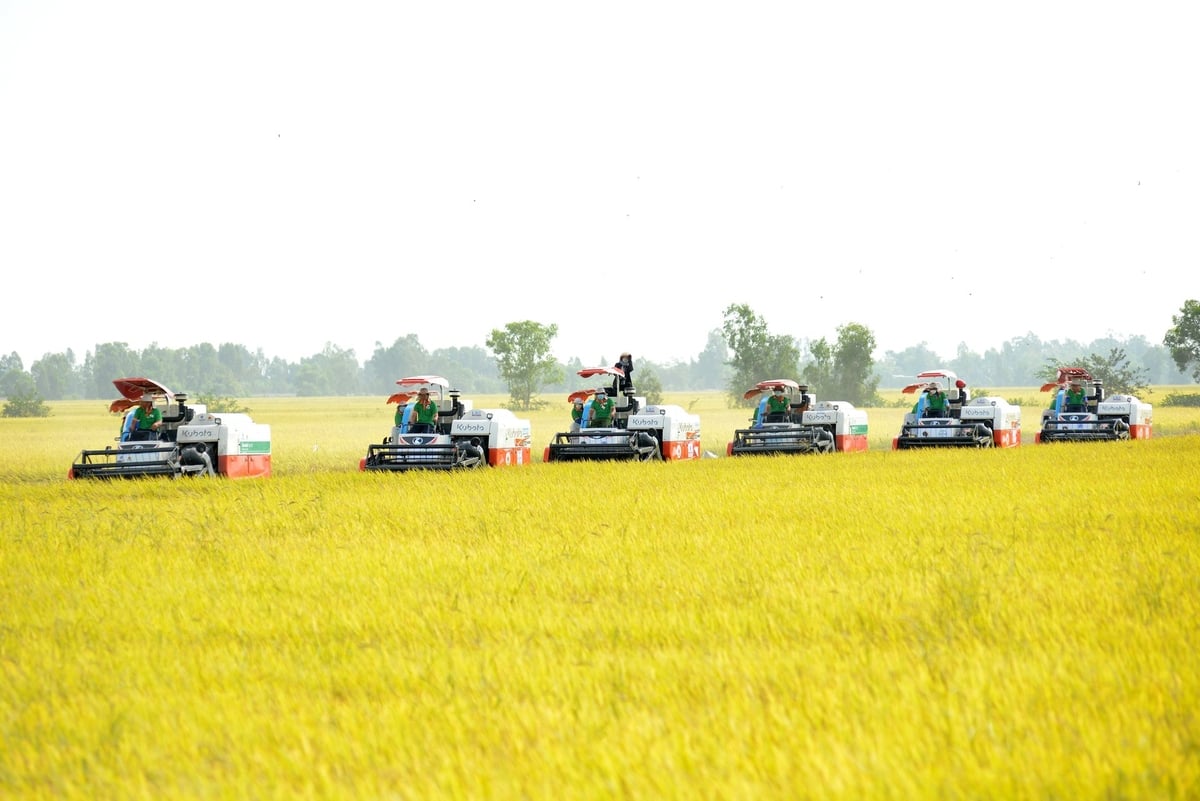 Lộc Trời cụ thể hóa tinh thần Nghị quyết 57 bằng hệ sinh thái nông nghiệp đổi mới sáng tạo, góp phần nâng cao giá trị lúa gạo Việt và đảm bảo an ninh lương thực toàn cầu. Ảnh: Lê Hoàng Vũ. Lộc Trời cụ thể hóa tinh thần Nghị quyết 57 bằng hệ sinh thái nông nghiệp đổi mới sáng tạo, góp phần nâng cao giá trị lúa gạo Việt và đảm bảo an ninh lương thực toàn cầu. Ảnh: Lê Hoàng Vũ.