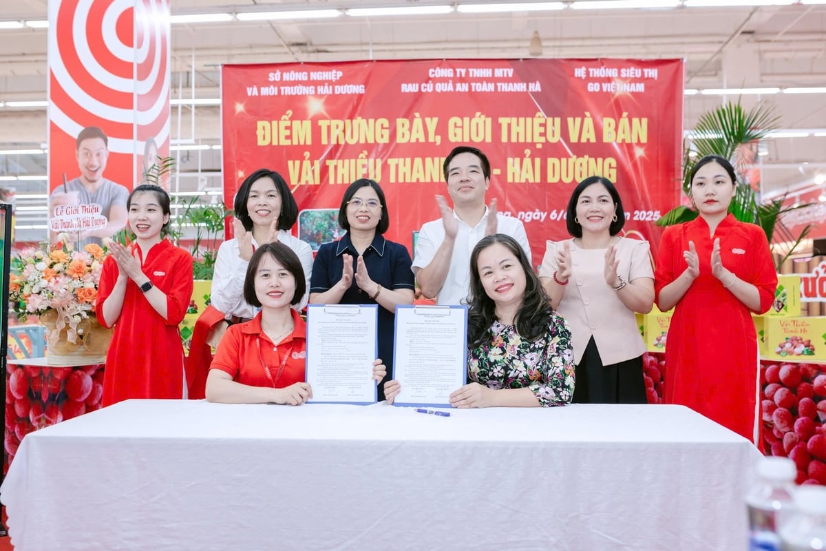 Thanh Ha litchi consumption promotion is held annually at supermarkets in Hai Phong.