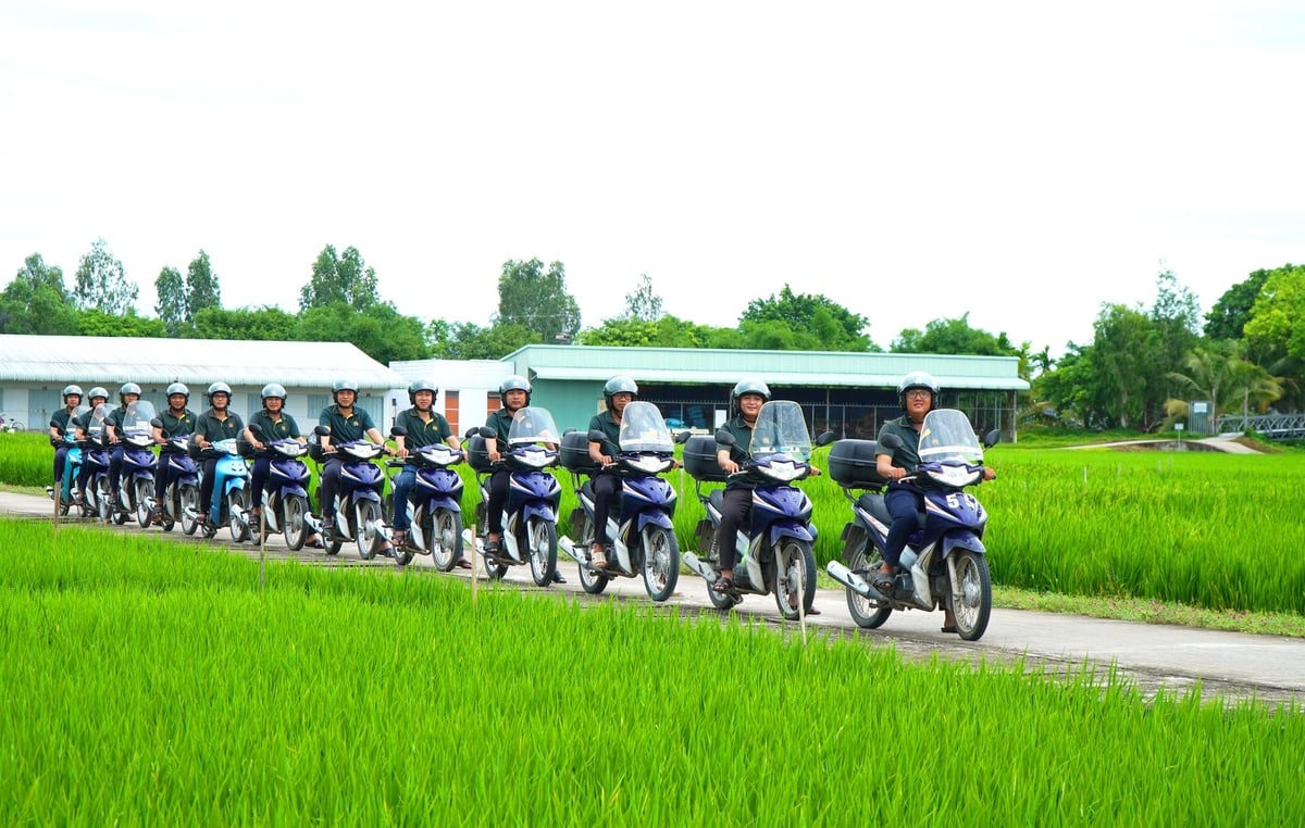 Lộc Trời có hơn 1.000 kỹ thuật viên '3 cùng' đóng vai trò là cầu nối giữa tri thức và thực tiễn, đưa các tiến bộ kỹ thuật đến từng thửa ruộng. Ảnh: Lê Hoàng Vũ. Lộc Trời có hơn 1.000 kỹ thuật viên '3 cùng' đóng vai trò là cầu nối giữa tri thức và thực tiễn, đưa các tiến bộ kỹ thuật đến từng thửa ruộng. Ảnh: Lê Hoàng Vũ.
