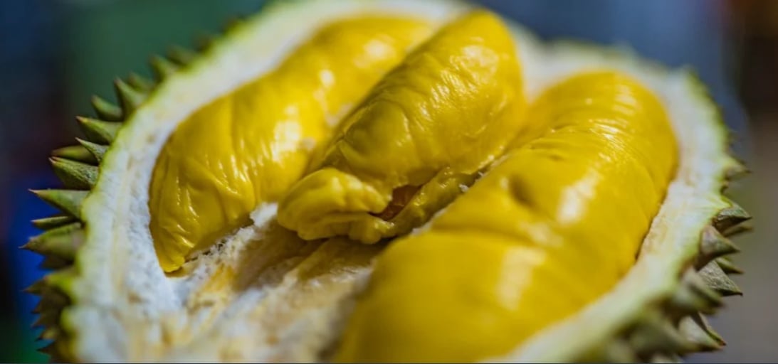 China tightens safety rules amid dip in Thai durian exports.