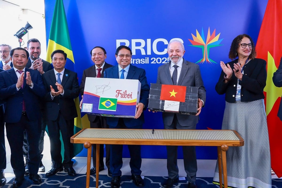 Thủ tướng và Tổng thống Brazil chứng kiến lễ công bố xuất khẩu lô hàng cá tra-basa, cá rô phi đầu tiên sang Brazil và lô hàng thịt bò đầu tiên sang Việt Nam. Ảnh: VGP. Thủ tướng và Tổng thống Brazil chứng kiến lễ công bố xuất khẩu lô hàng cá tra-basa, cá rô phi đầu tiên sang Brazil và lô hàng thịt bò đầu tiên sang Việt Nam. Ảnh: VGP.