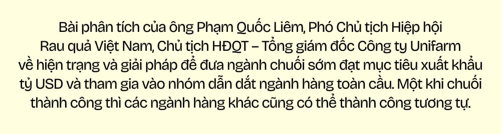 Ngành chuối Việt Nam - Tham vọng và đột phá