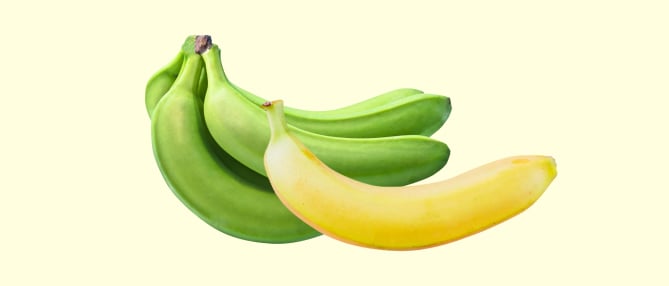 Ngành chuối Việt Nam - Tham vọng và đột phá