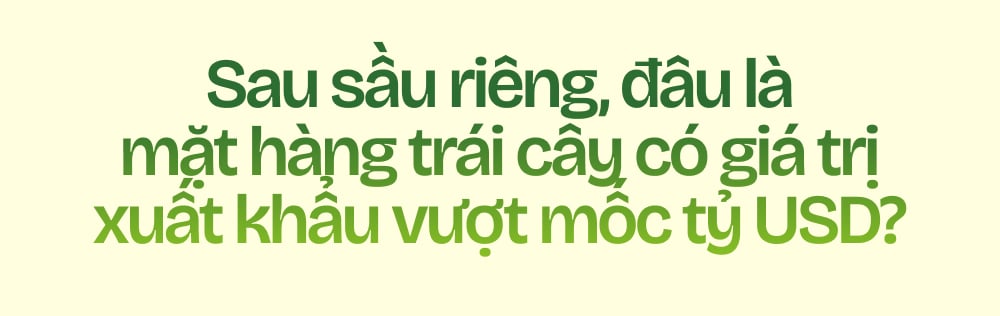 Ngành chuối Việt Nam - Tham vọng và đột phá