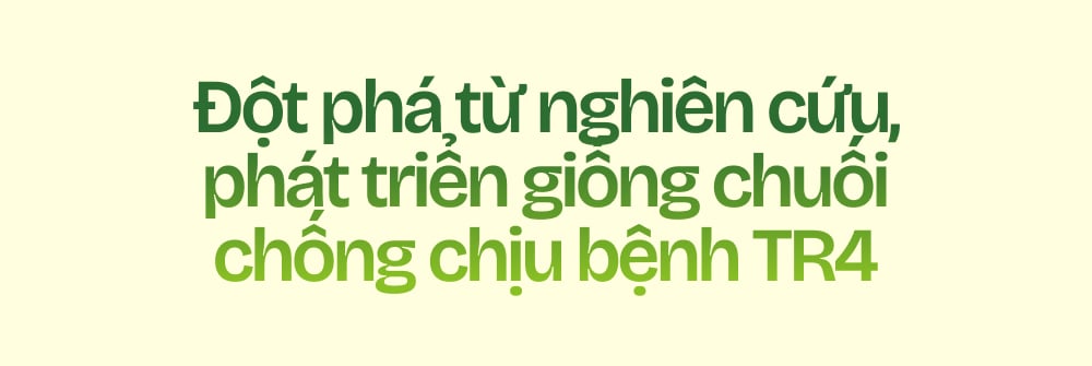 Ngành chuối Việt Nam - Tham vọng và đột phá
