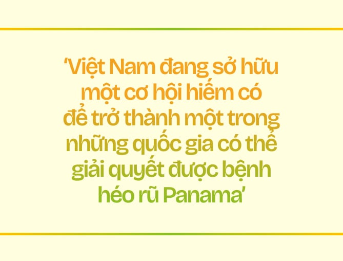 Ngành chuối Việt Nam - Tham vọng và đột phá
