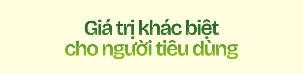 Ngành chuối Việt Nam - Tham vọng và đột phá