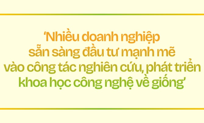 Ngành chuối Việt Nam - Tham vọng và đột phá