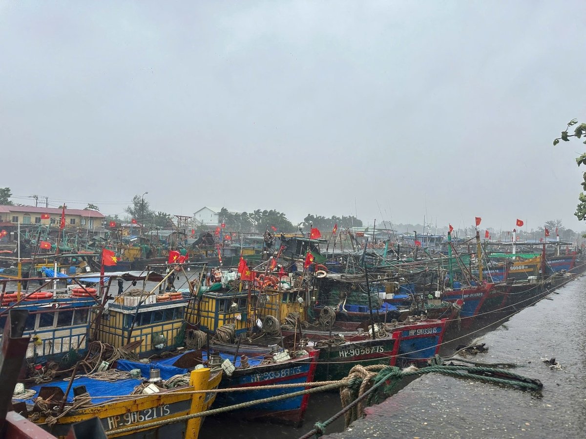 By the end of June 2025, Hai Phong had 844 fishing vessels with the largest length of 6m or more updated on the VnFishbase system. Photo: Dinh Muoi.