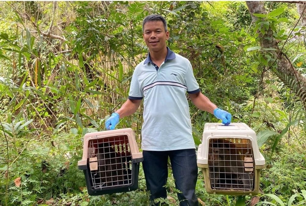 The animal population of Chu Yang Sin National Park is exceedingly diverse and abundant.