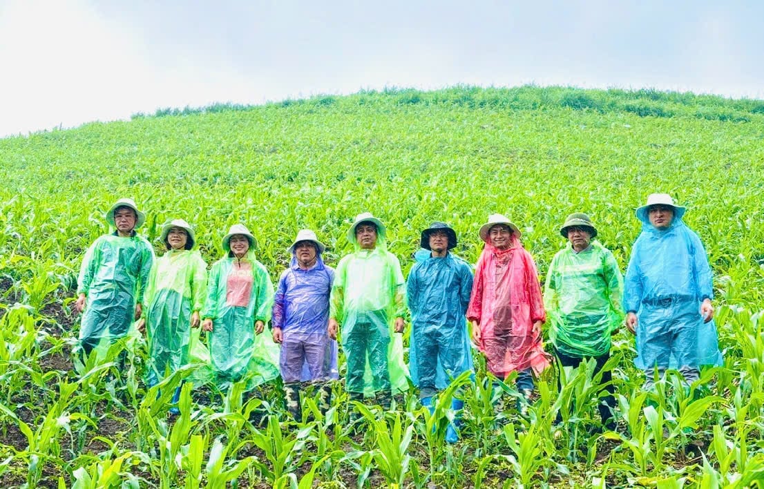 Đoàn công tác của Sở Nông nghiệp và Môi trường Sơn La thăm mô hình nhà bà Luân. Ảnh: Đức Bình. Đoàn công tác của Sở Nông nghiệp và Môi trường Sơn La thăm mô hình nhà bà Luân. Ảnh: Đức Bình.