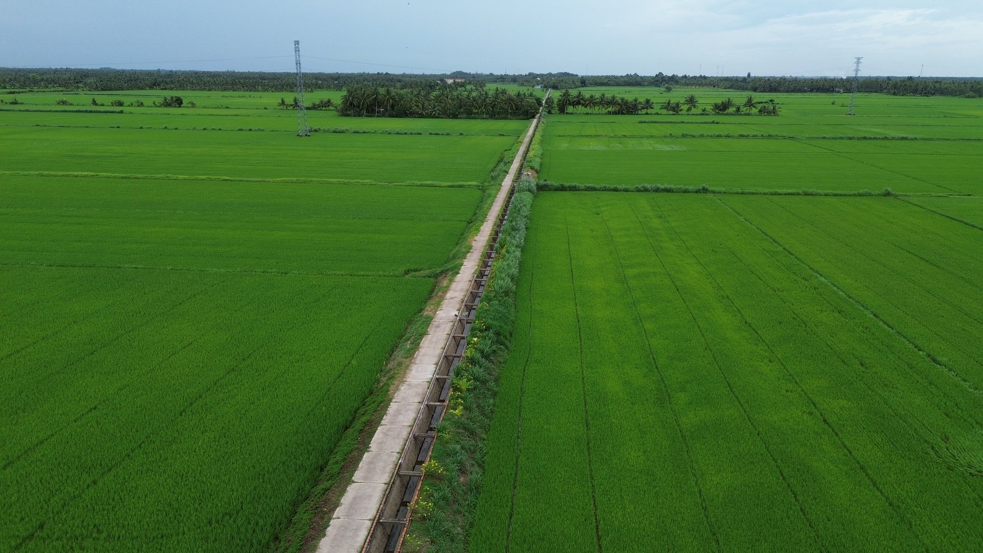Tuyến kênh bê tông nổi ở ấp Cầu Tre. Ảnh: Hồ Thảo. Tuyến kênh bê tông nổi ở ấp Cầu Tre. Ảnh: Hồ Thảo.