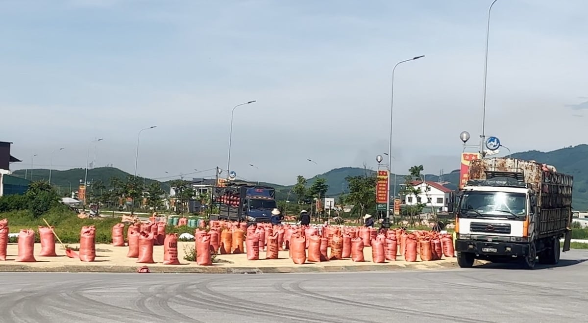 Các doanh nghiệp liên kết với người dân xây dựng vùng nguyên liệu lúa chất lượng cao phục vụ nhu cầu trong nước và xuất khẩu. Ảnh: Thanh Nga. Các doanh nghiệp liên kết với người dân xây dựng vùng nguyên liệu lúa chất lượng cao phục vụ nhu cầu trong nước và xuất khẩu. Ảnh: Thanh Nga.