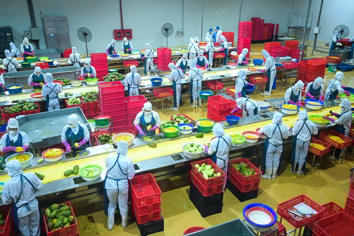 Lao động có việc làm 6 tháng đầu năm 2025 trong khu vực nông, lâm nghiệp và thuỷ sản là 13,5 triệu người. Ảnh: Tùng Đinh. Lao động có việc làm 6 tháng đầu năm 2025 trong khu vực nông, lâm nghiệp và thuỷ sản là 13,5 triệu người. Ảnh: Tùng Đinh.