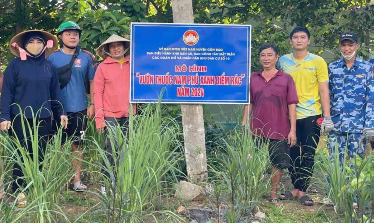 Mô hình 'Vườn thuốc Nam phủ xanh điểm rác' được triển khai đã giúp thay đổi diện mạo không gian sống của những điểm rác truyền thống trên Côn Đảo. Ảnh: Phan Thị Tím. Mô hình 'Vườn thuốc Nam phủ xanh điểm rác' được triển khai đã giúp thay đổi diện mạo không gian sống của những điểm rác truyền thống trên Côn Đảo. Ảnh: Phan Thị Tím.