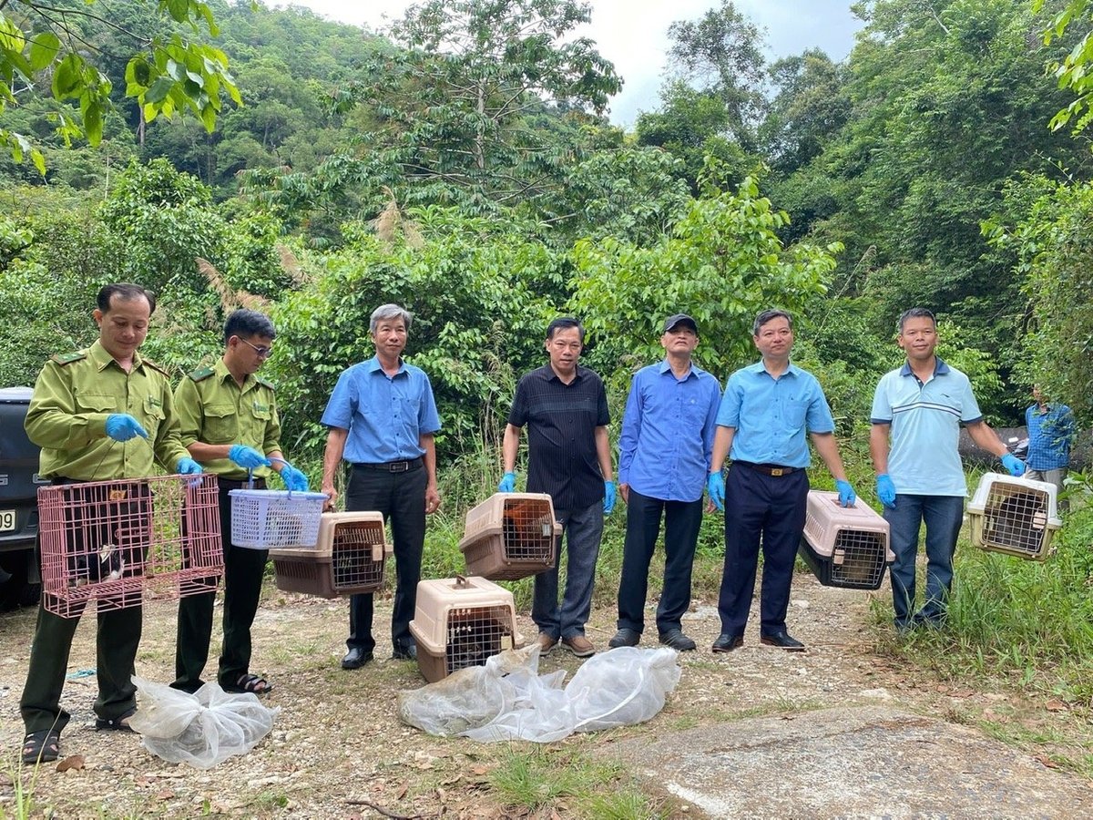 Chu Yang Sin National Park establishes annual plans, constructs firebreaks, conducts training sessions, and prepares all essential equipment for fire response in order to prevent and control wildfire.