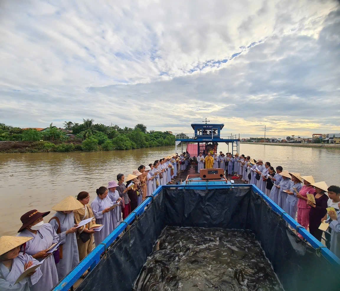 Ngoài tặng quà cho các hộ dân có hoàn cảnh khó khăn, nhà chùa còn tổ chức thả 1 tấn cá trê về tự nhiên. Ảnh: Minh Đảm. Ngoài tặng quà cho các hộ dân có hoàn cảnh khó khăn, nhà chùa còn tổ chức thả 1 tấn cá trê về tự nhiên. Ảnh: Minh Đảm.