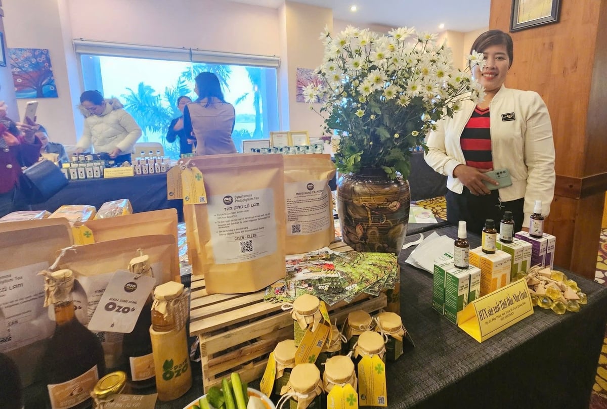 Essential oil products of Nhu Oanh Essential Oil Cooperative are introduced to customers. Photo: T. Phung.