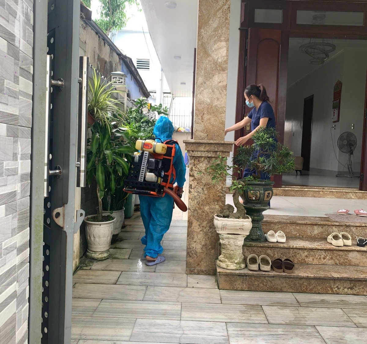 Cơ quan chức năng ở TP Huế đang chủ động phòng bệnh liên cầu lợn. Ảnh: V.D. Cơ quan chức năng ở TP Huế đang chủ động phòng bệnh liên cầu lợn. Ảnh: V.D.